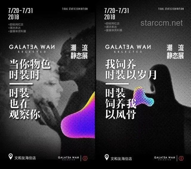 成毅空降：粉丝狂欢与文化现象的深度剖析