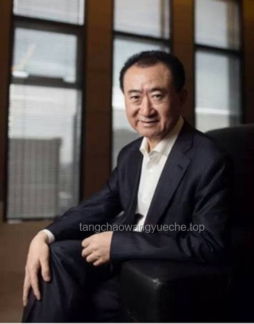王健林“断臂求生”：商业地产巨头背后的战略转型与阳谋